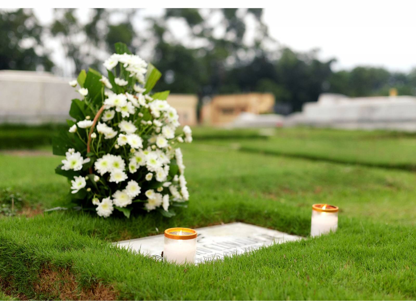 Tombe naturelle au cimetière de la croix rousse